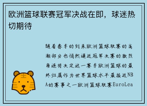 欧洲篮球联赛冠军决战在即，球迷热切期待