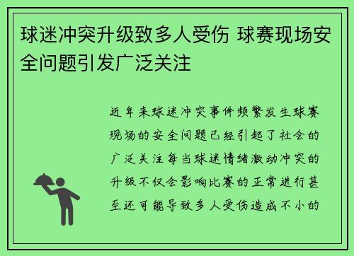 球迷冲突升级致多人受伤 球赛现场安全问题引发广泛关注